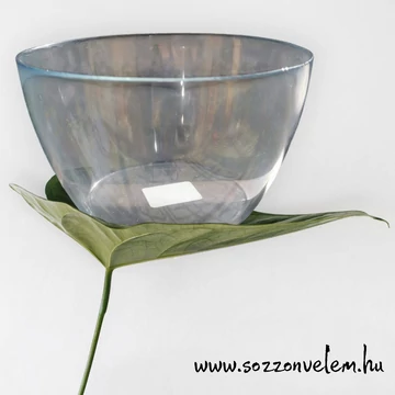 Üvegtál 2.5l
