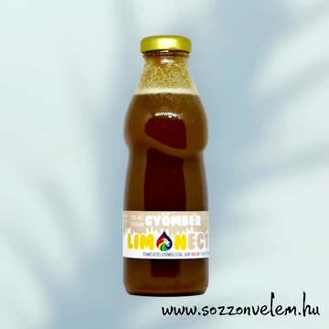 Limonectar mézszörp - Gyömbér 500ml (min.6 literhez) 