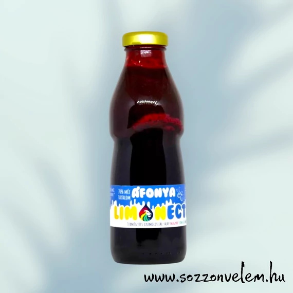 Limonectar mézszörp -Áfonya 500ml (min.6 literhez) 