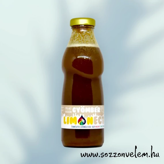 Limonectar mézszörp - Gyömbér 500ml (min.6 literhez) 